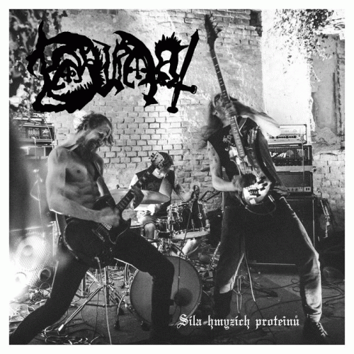 Bahratal : Síla Hmyzích Proteinů